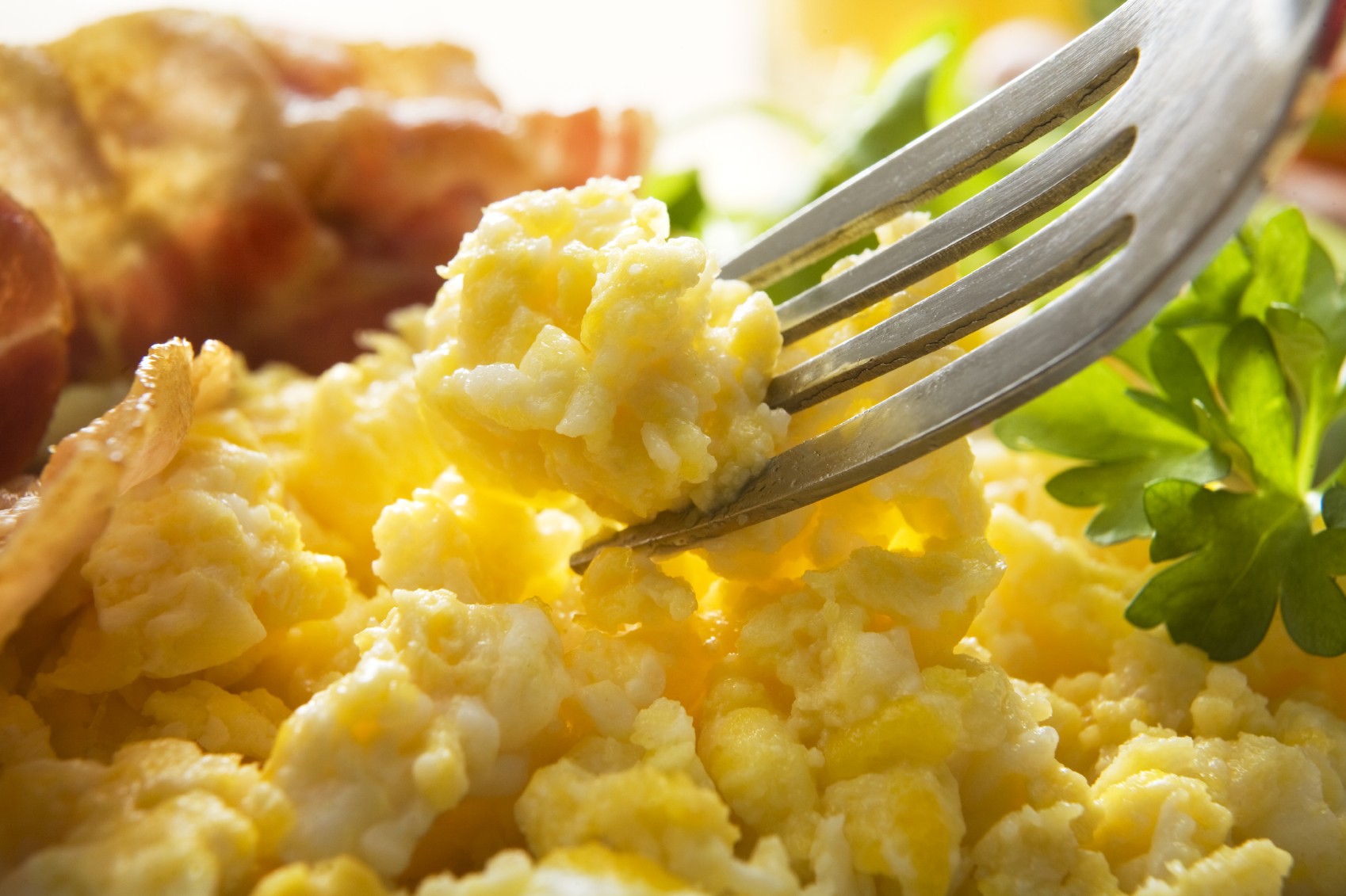 What Are Powdered Eggs SAFIMEX JOINT STOCK COMPANY