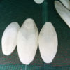 Cuttle Fish Bone