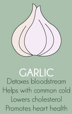 GARLIC Herbs Export SAFIMEX spices GARLIC Herbs Export SAFIMEX spices
