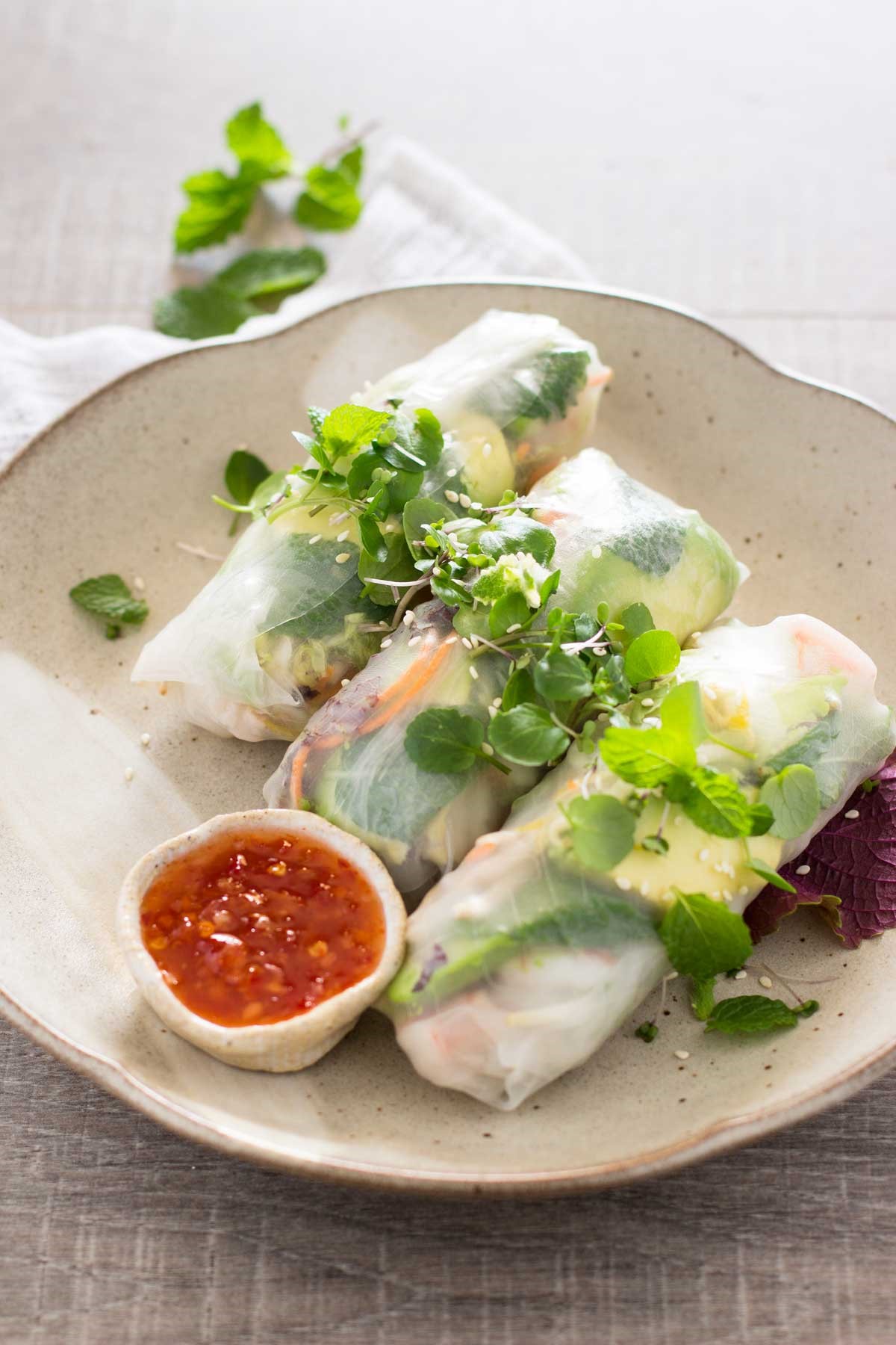 Japanese Rice Paper Rolls 2