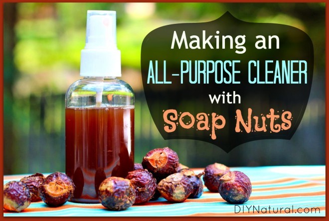 7 Beauty Benefits of Soap Nuts