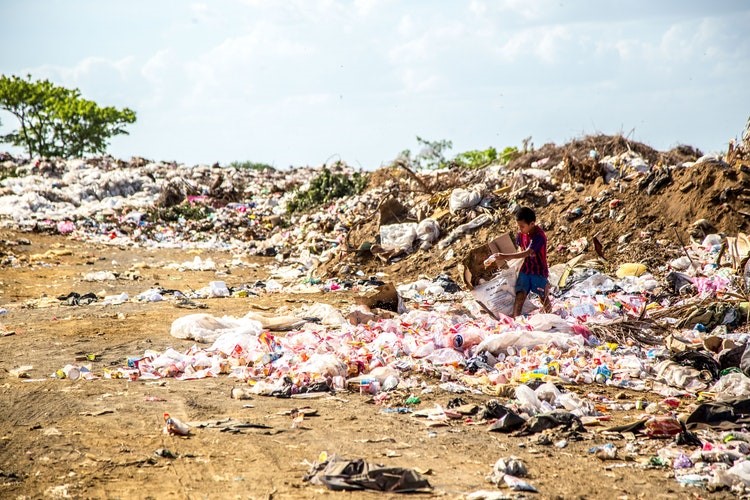 Human impact Plastic pollution