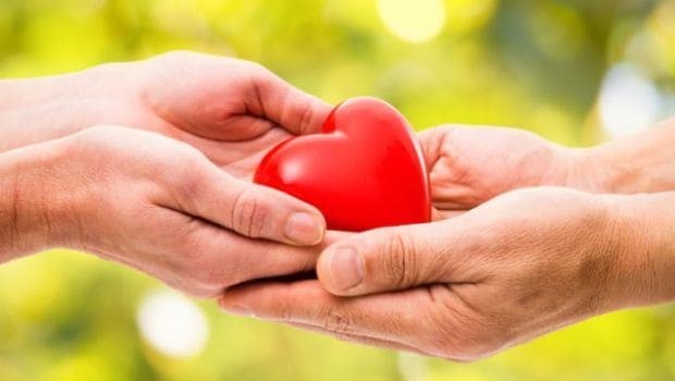 7 Incredible Benefits of Baby Corn SAFIMEX