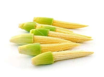7 Incredible Benefits of Baby Corn SAFIMEX