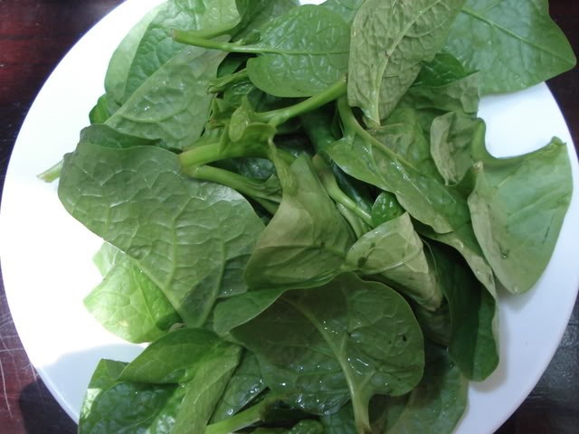Ceylon spinach Safimex vegetables