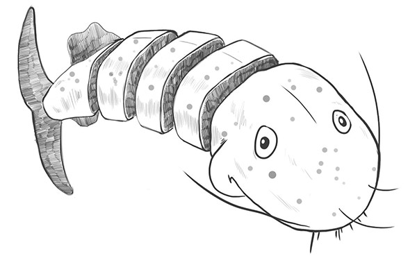 Cá Kho Tộ Recipe – Vietnamese Caramelized & Braised Catfish