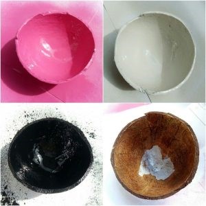 halves of coconut SFM