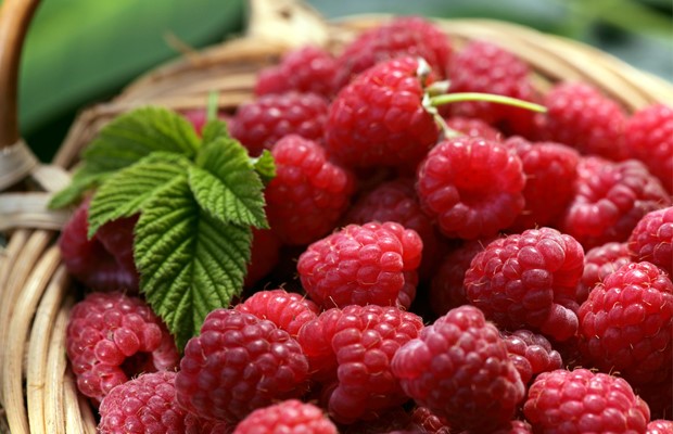 healthy salad dressings safimex 02