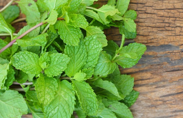 healthy salad dressings safimex 02