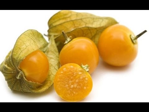 5 Exotic Fruits That Are Nutritious and Delicious