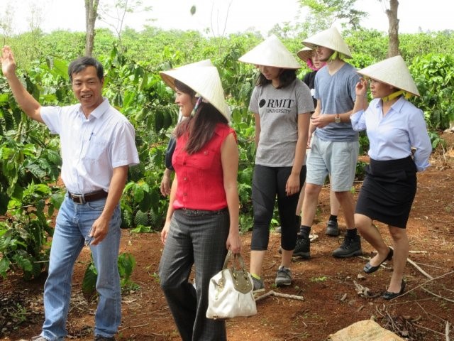 Vietnamese Gac fruit proving to have substantial health benefits