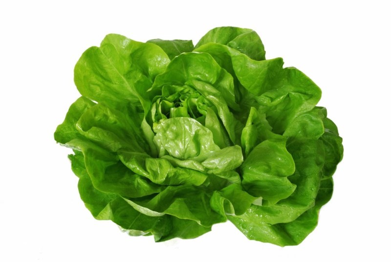 11 Healthiest Leafy Greens You Should Be Eating boston lettuce vegetable
