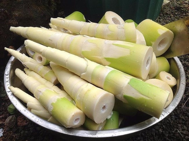 Vietnamese bamboo shoots