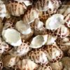 Crab shell safimex aqua sea vietnam