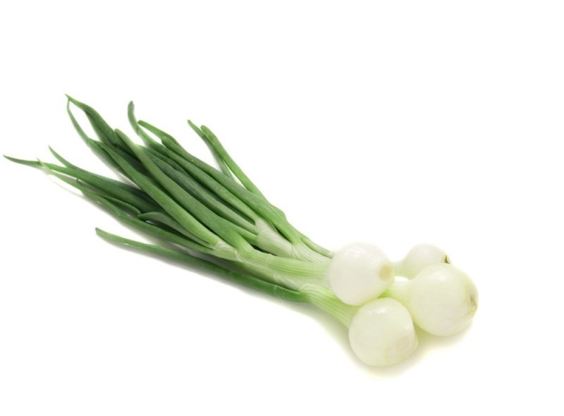 Scallions or Green Onions