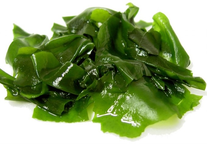 Seaweed SAFIMEX