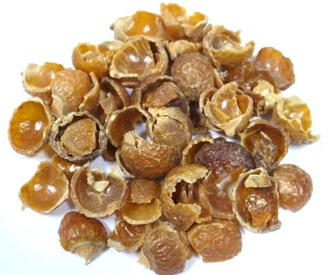 Soap Nuts