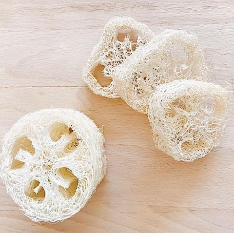 Garden Loofah Soap dishes