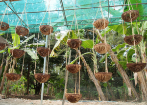 Hanging plant holders are another option.