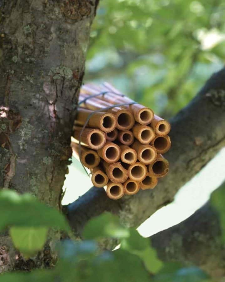 16. Create a BAMBOO BEE HOUSE for your garden