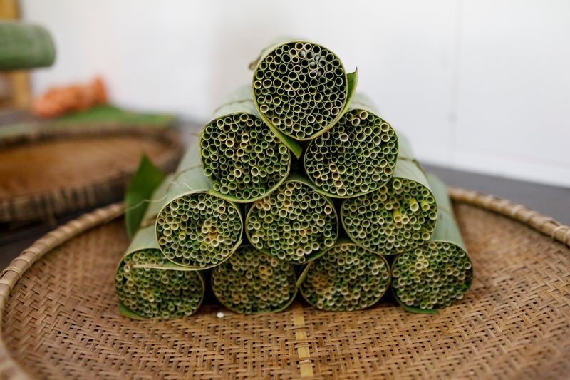 Vietnamese grass 