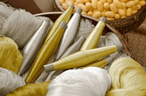 silk yarn silkworm reeling