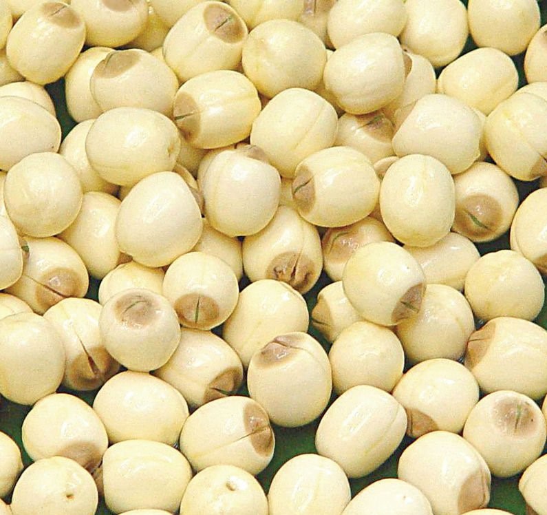 Lotus Seed _ safimex
