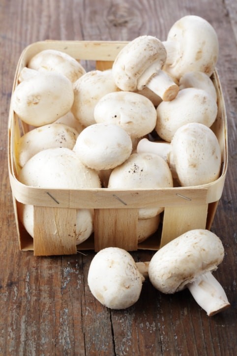 Mushroom SAFIMEX