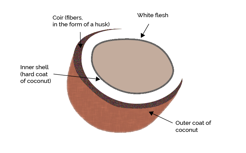 Coconut Coir - What It Is