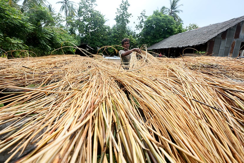 Rattan safimex