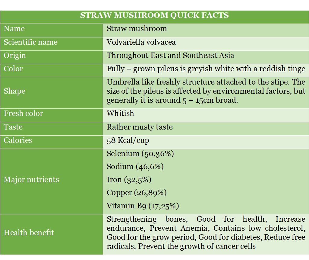 Straw Mushroom SAFIMEX