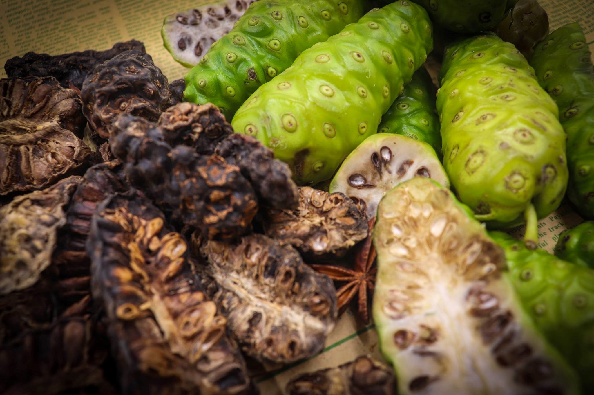 dried noni fruit safimex