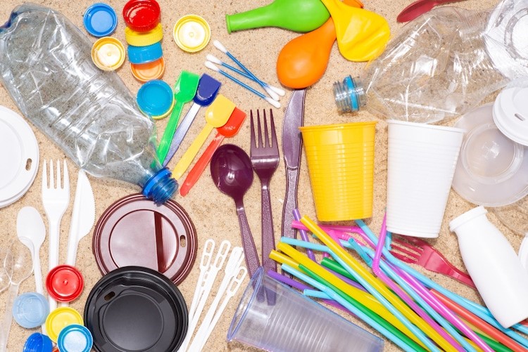 Single-Use Plastic