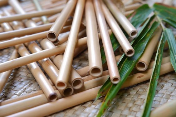 bamboo straw