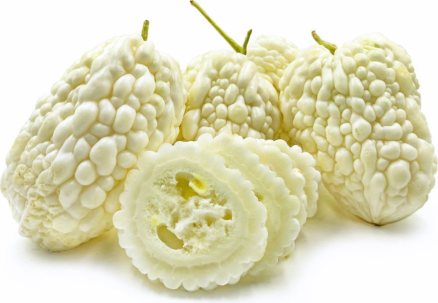 Bitter melon