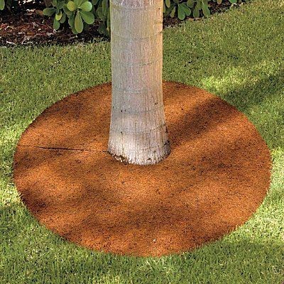 Coconut Coir