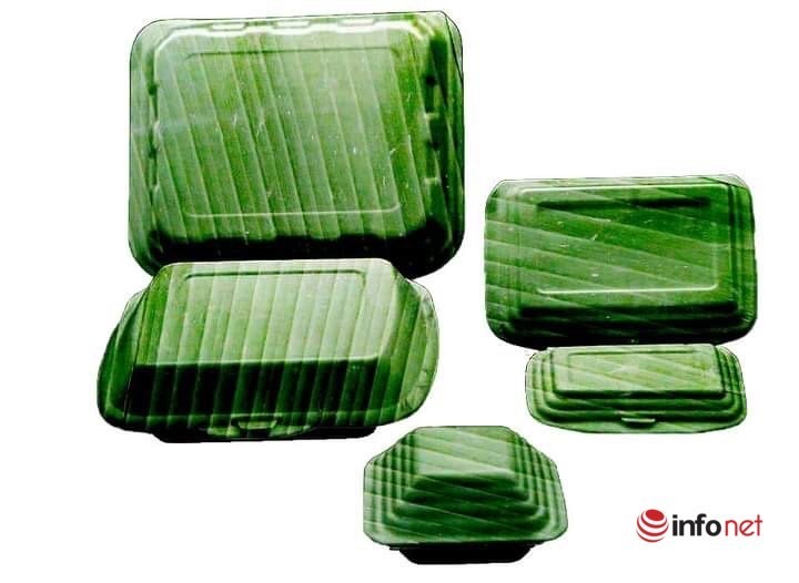  banana leaves