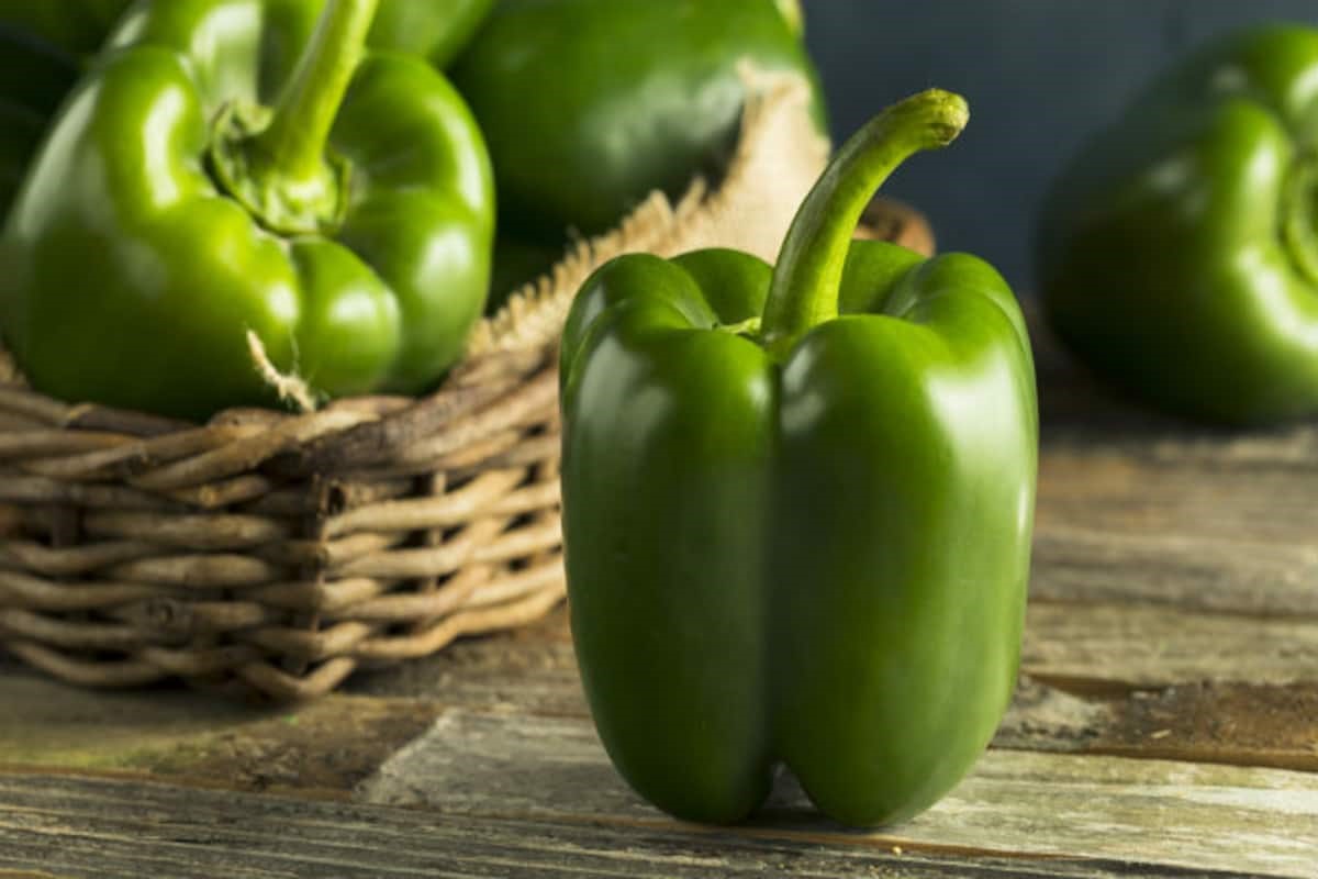 Green Capsicum