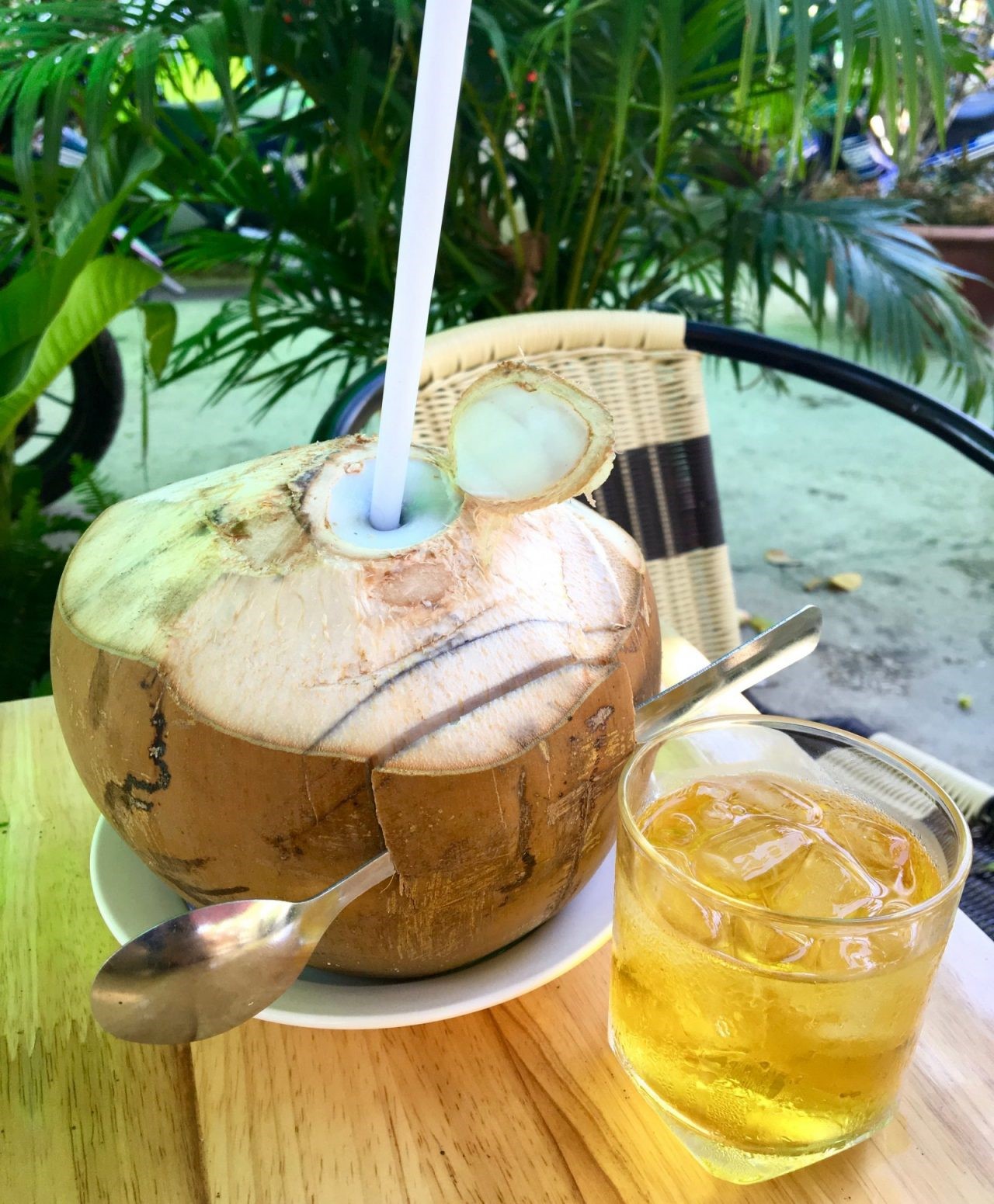 coconut water coconut mILK