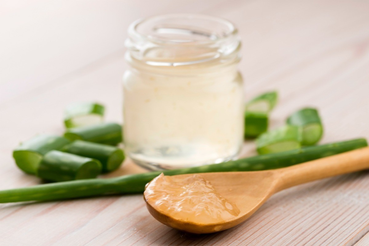 Aloe vera