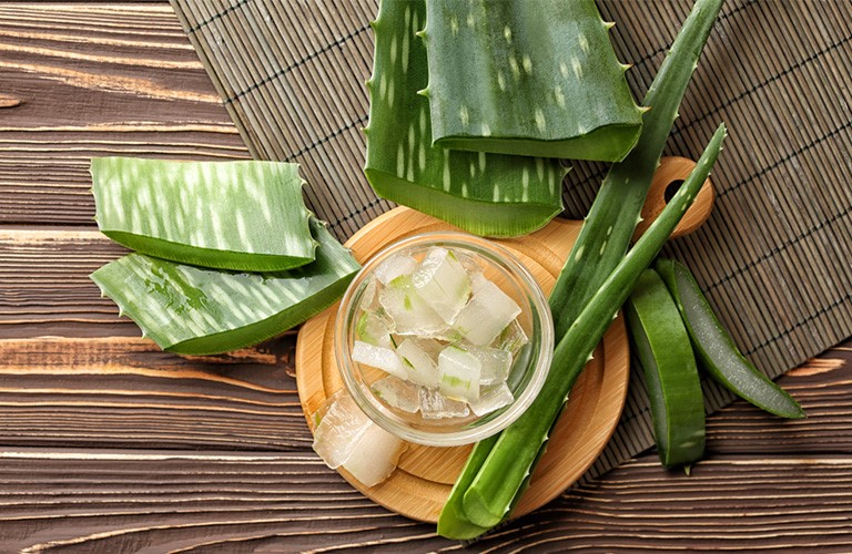 Aloe Vera