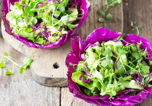 Cabbage