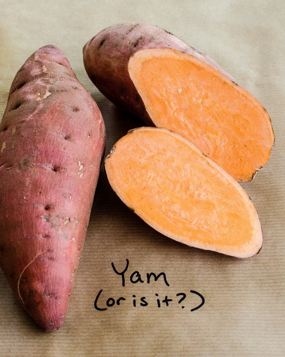  Sweet Potato SAFIMEX