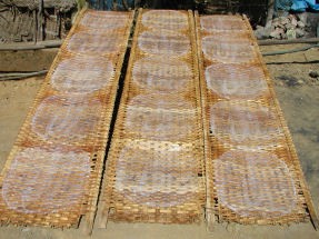 DRYING RICE PAPER