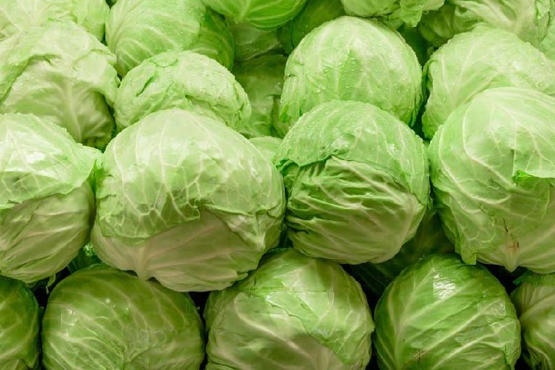choosing cabbage