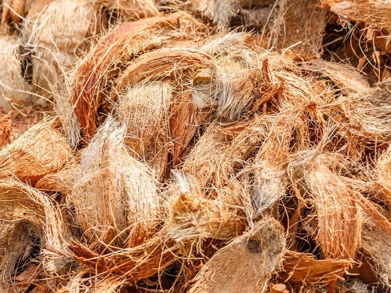 coconut fiber