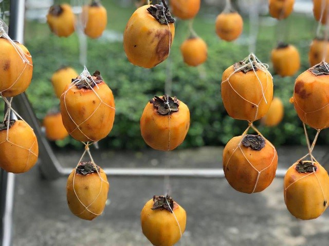 persimmon fruit