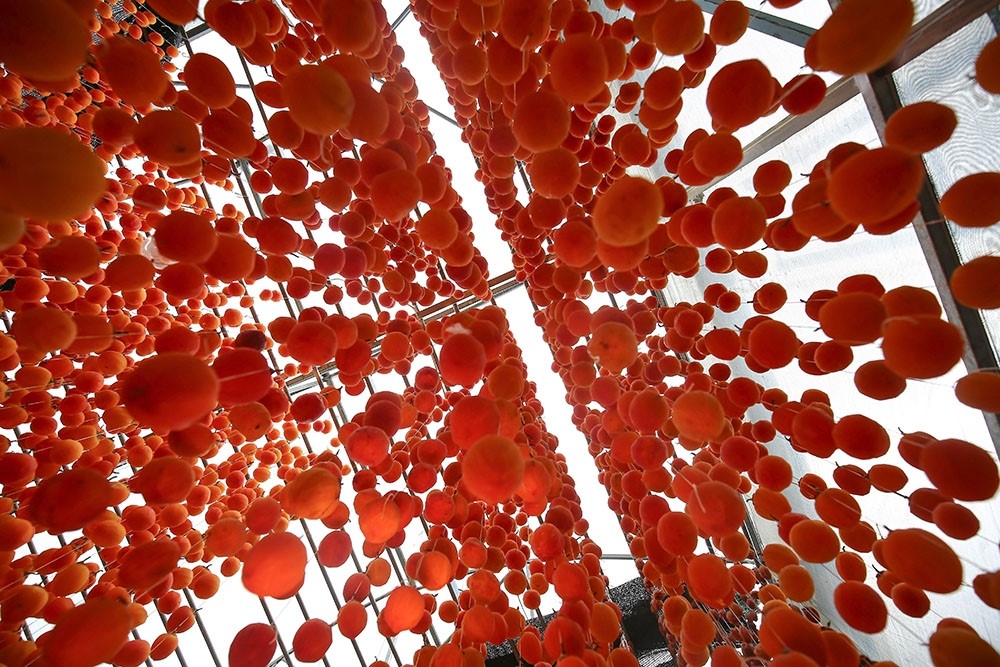 Dried persimmons