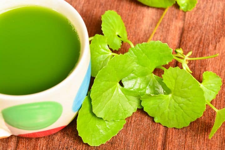 gotu-kola (1)