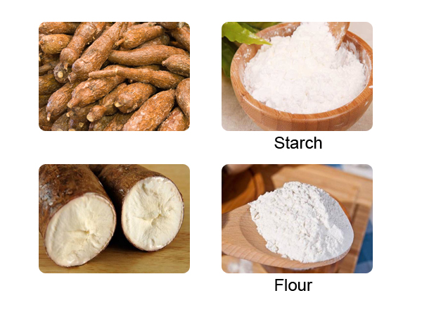 tapioca flour and starch